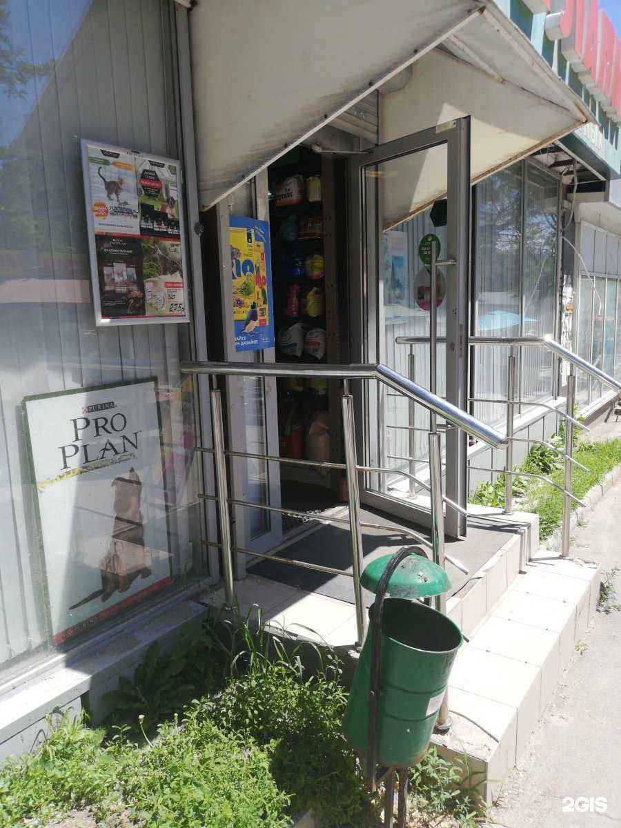 Отзывы на компанию Четыре лапки в Волгограде c фото