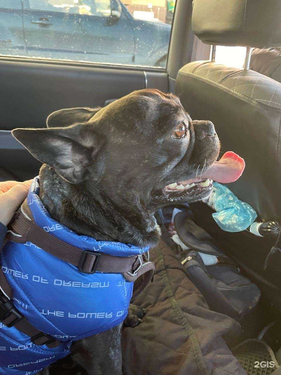 Отзывы на компанию Ветеринарная лечебница в г. Анапа c фото