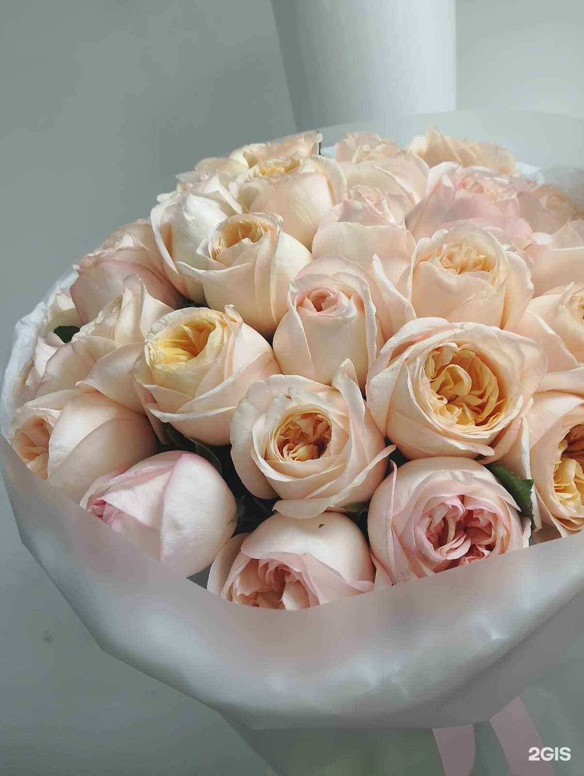 Отзывы на компанию ЧЧ. Цветы в г. Воронеж c фото