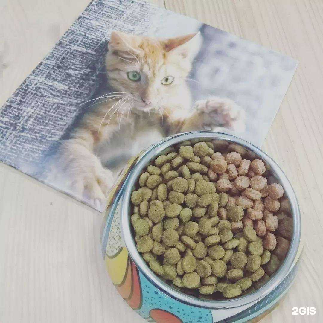 Отзывы на компанию TimPets в Тимашёвске c фото