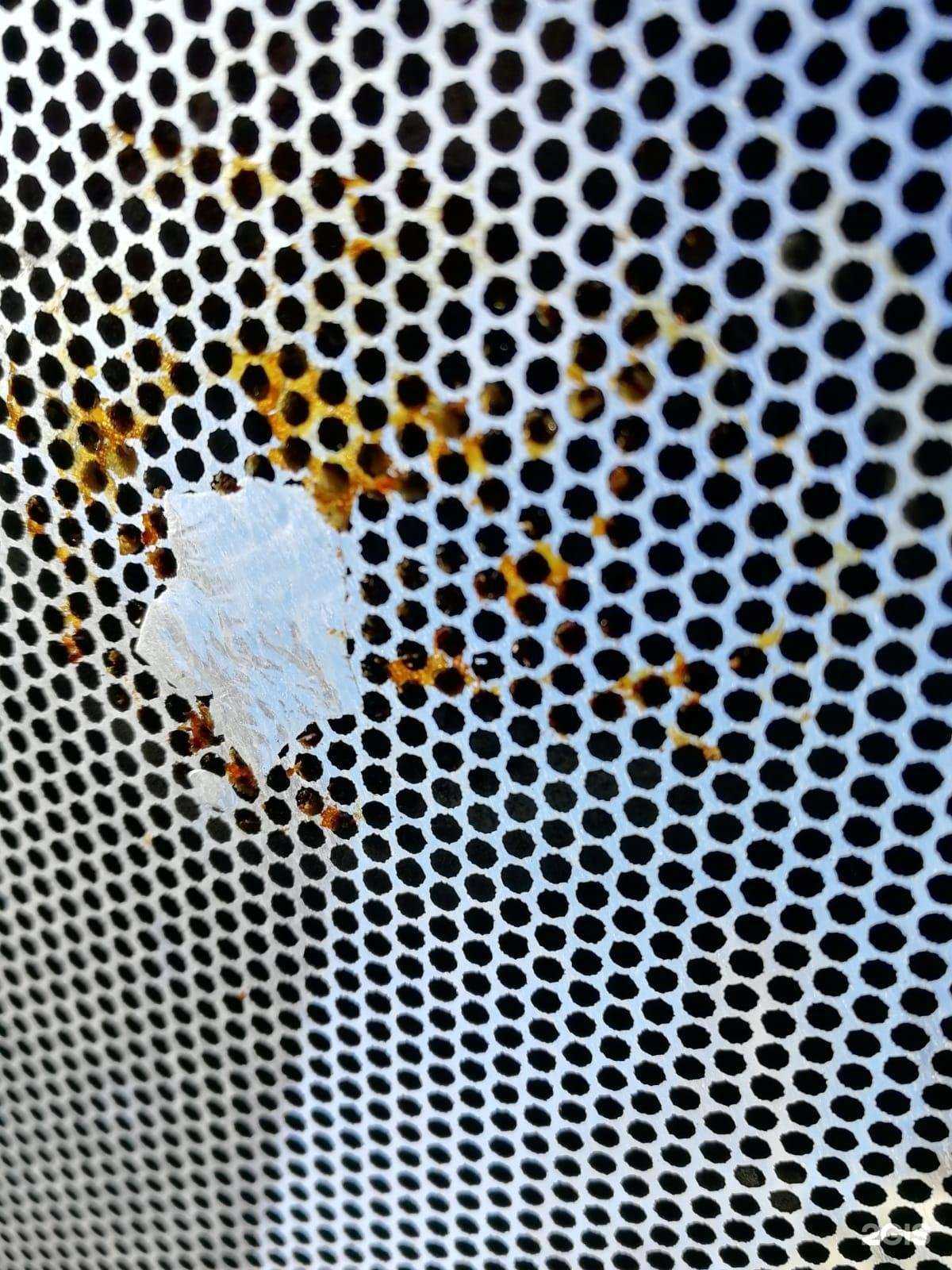 Отзывы на компанию Автомода в Барнауле c фото