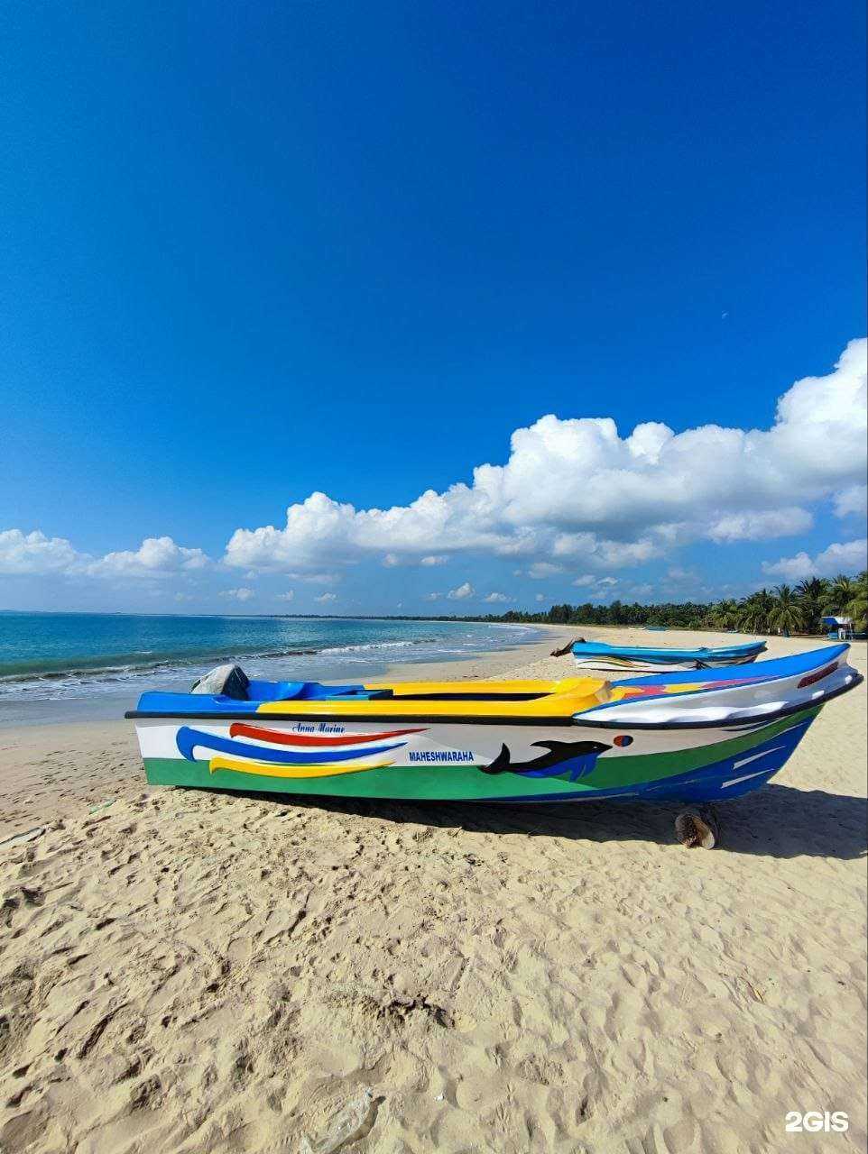 Отзывы на компанию Dream Tour в Тамбове c фото