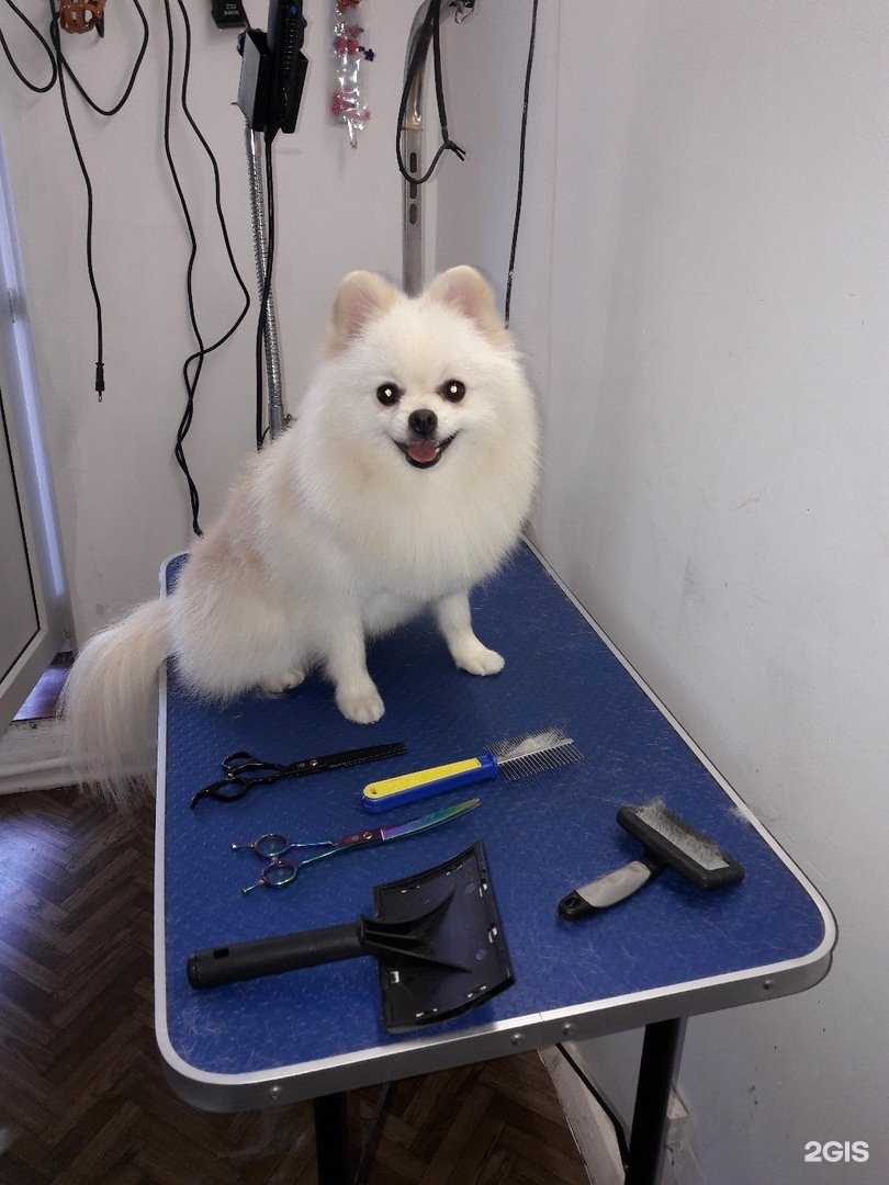 Отзывы на компанию Гламур в г. Белгород c фото