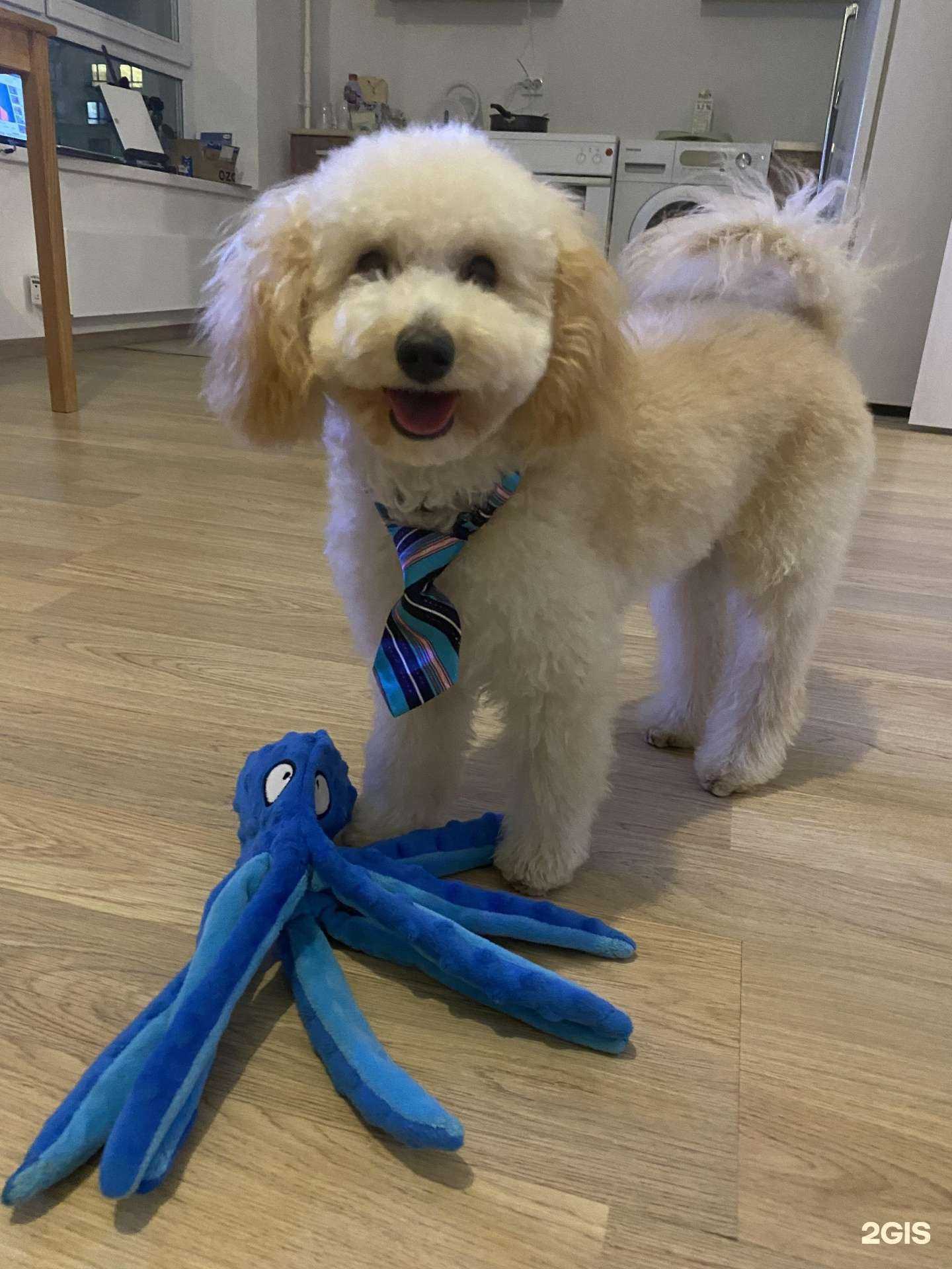 Отзывы на компанию Сурикат в Коммунарке c фото