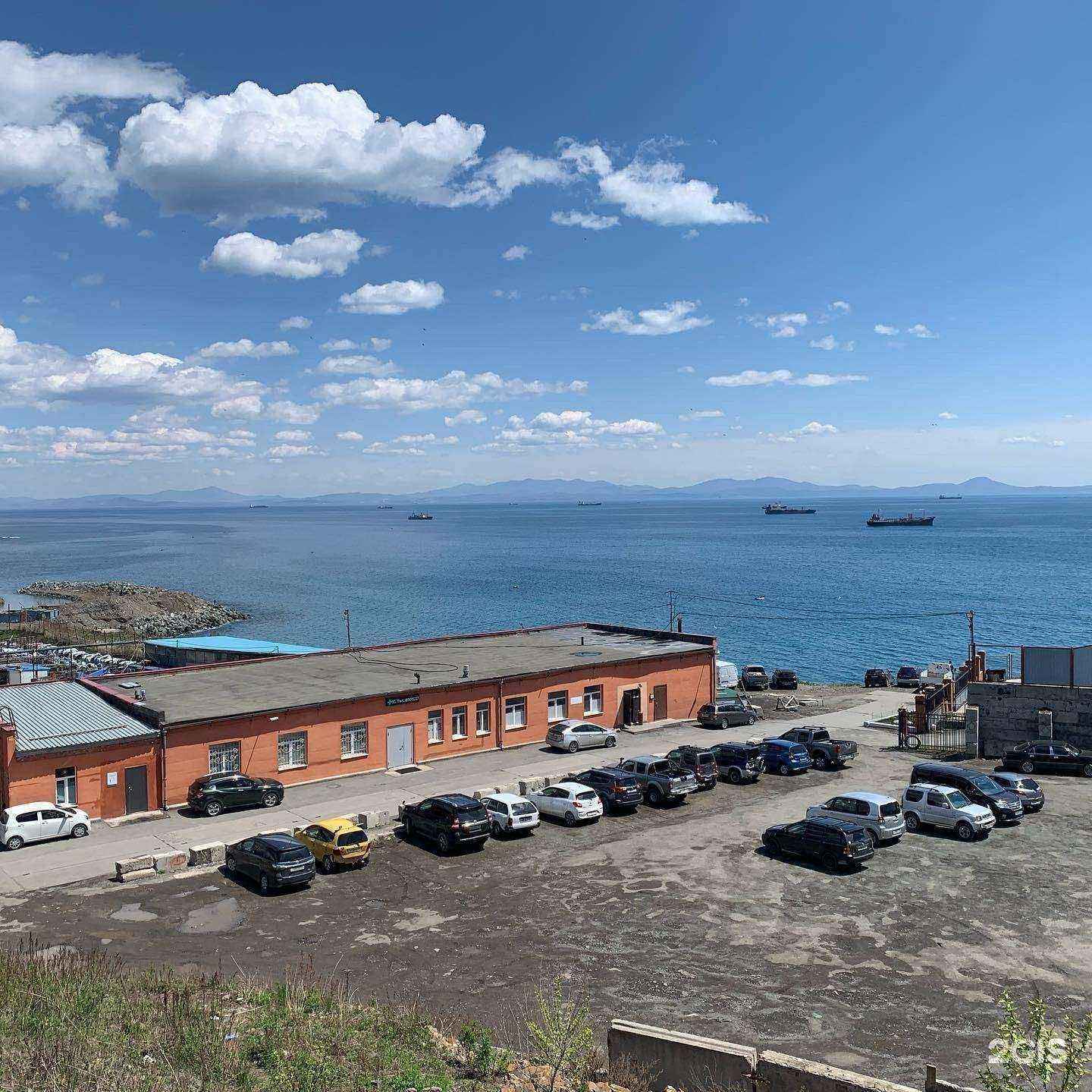 Отзывы на компанию Белый слон в Владивостоке c фото