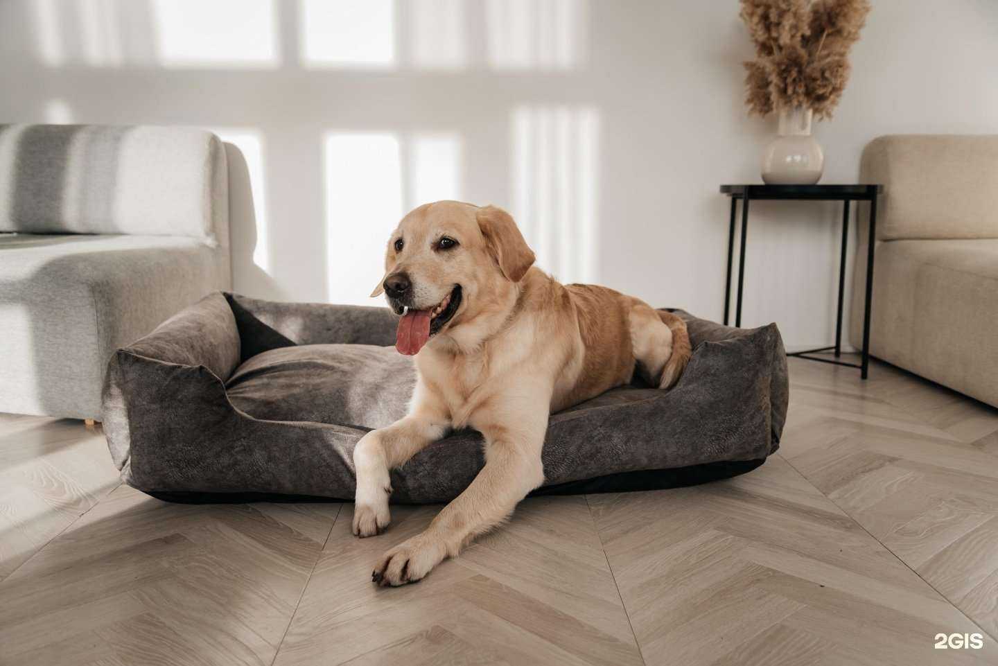 Отзывы на компанию Сибирский хвост в Барнауле c фото