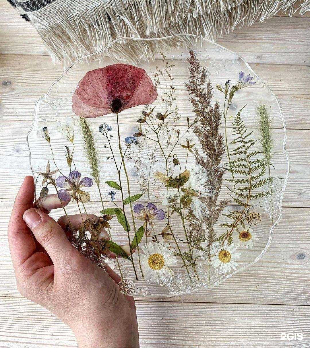 Отзывы на компанию Амикс в Южно-Сахалинске c фото