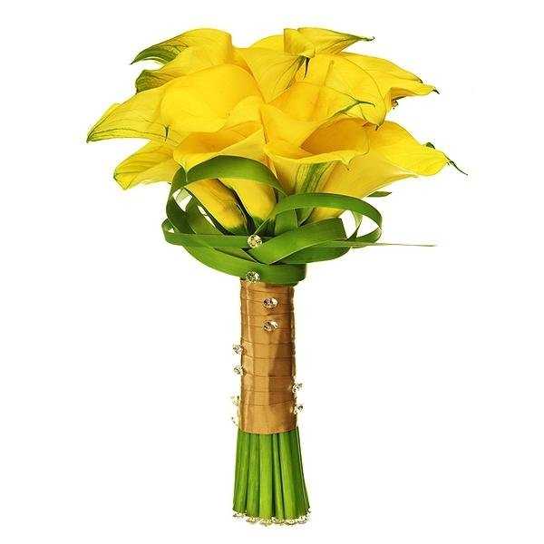 Отзывы на компанию Город цветов в Энгельсе c фото