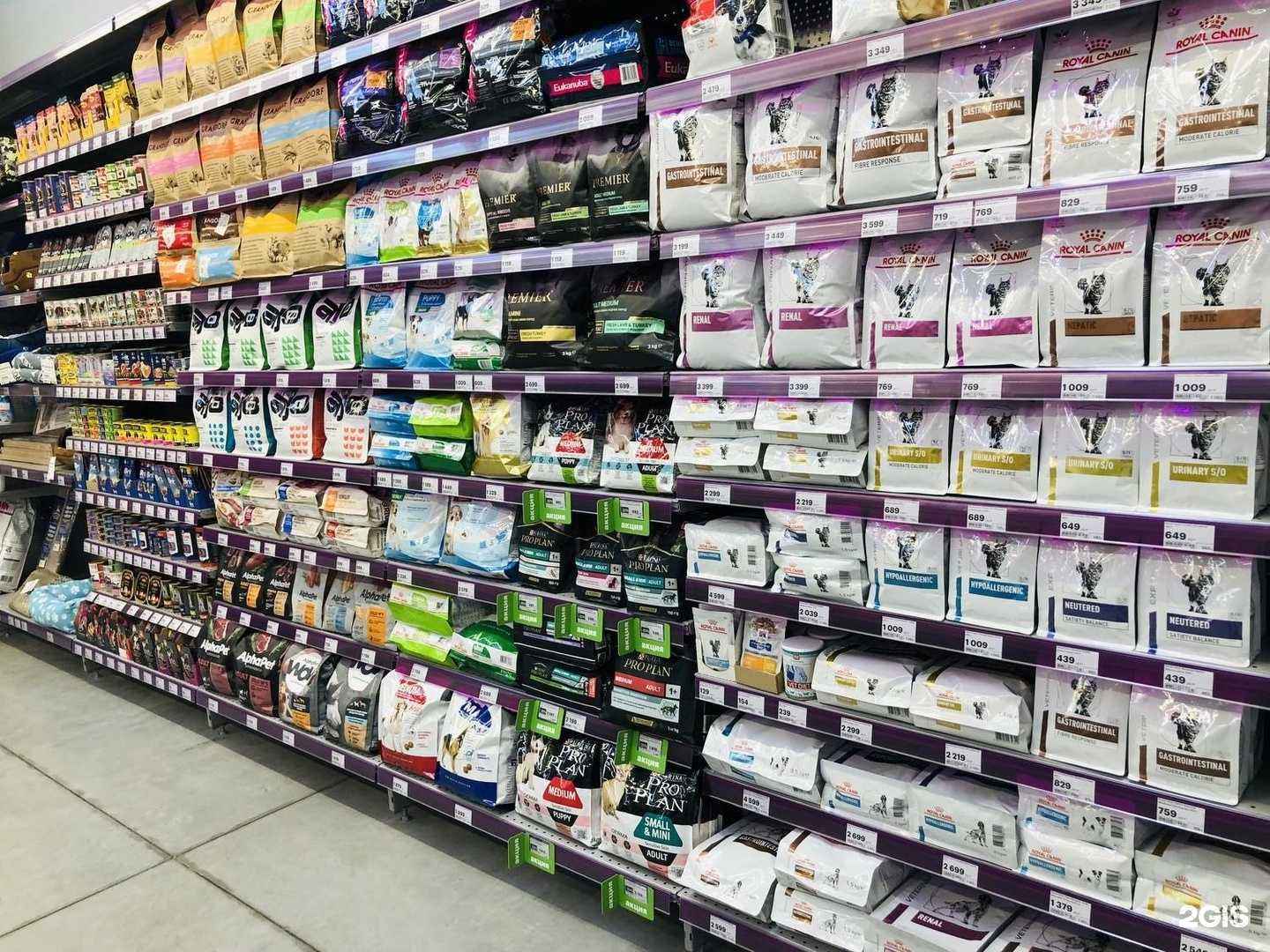 Отзывы на компанию Мокрый нос в г. Уссурийск c фото