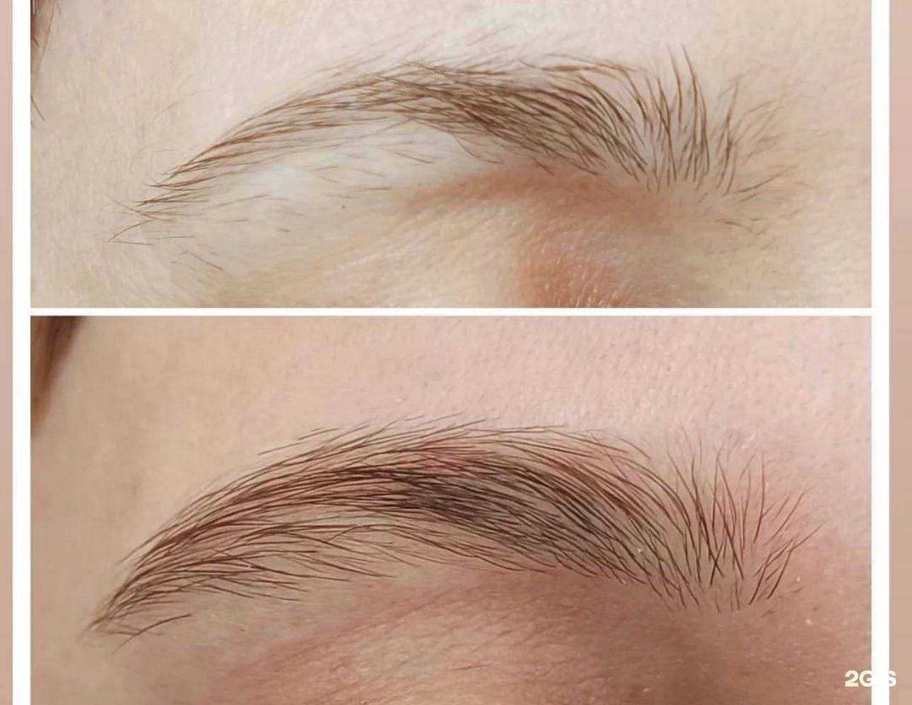 Отзывы на компанию Brovolog в Кемерове c фото