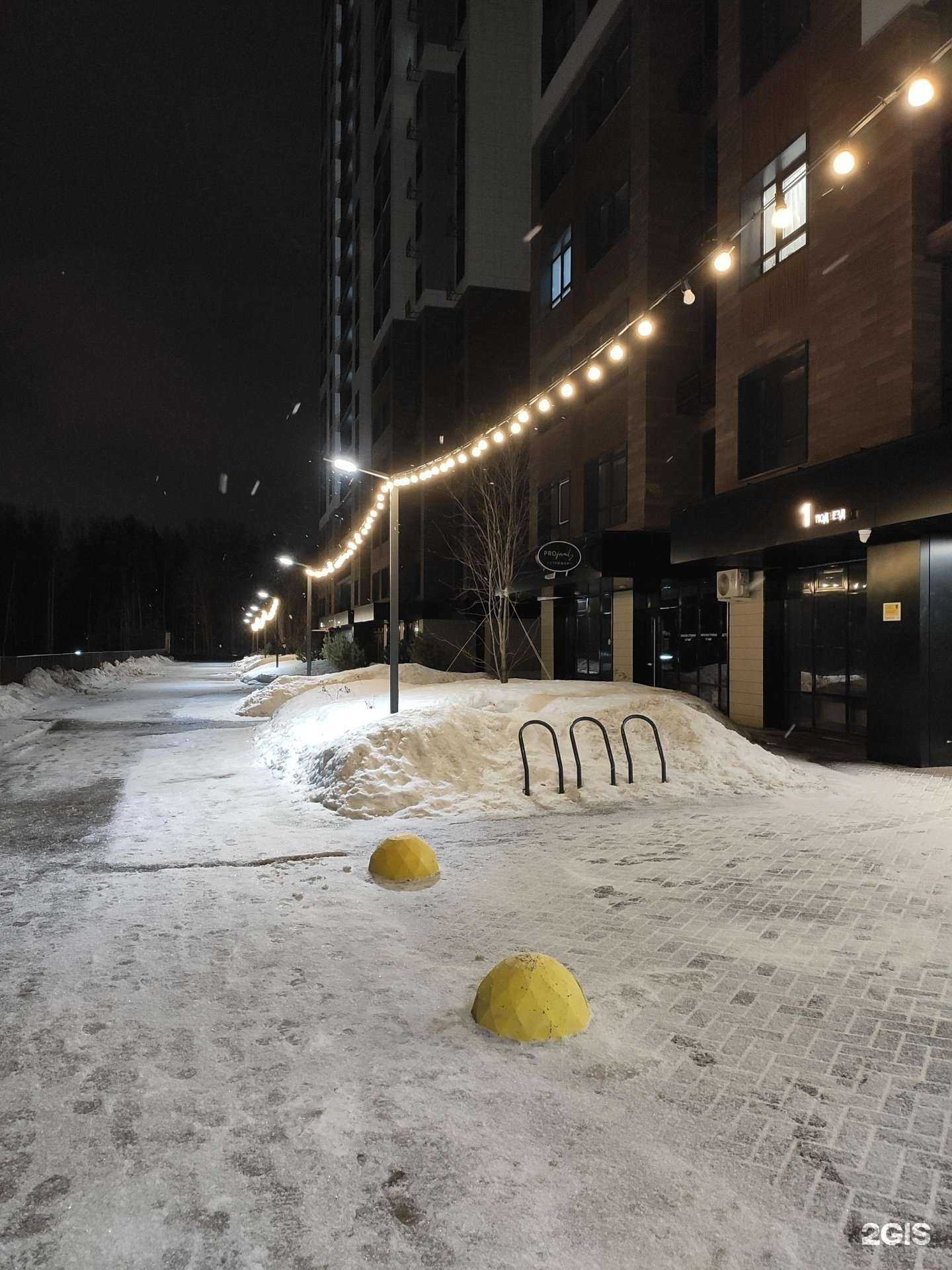 Отзывы на компанию Pet Project в Казани c фото - фотография 2 из 2