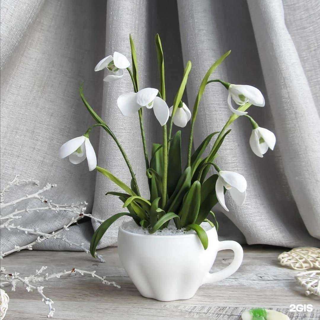 Отзывы на компанию Зебра в Самаре c фото