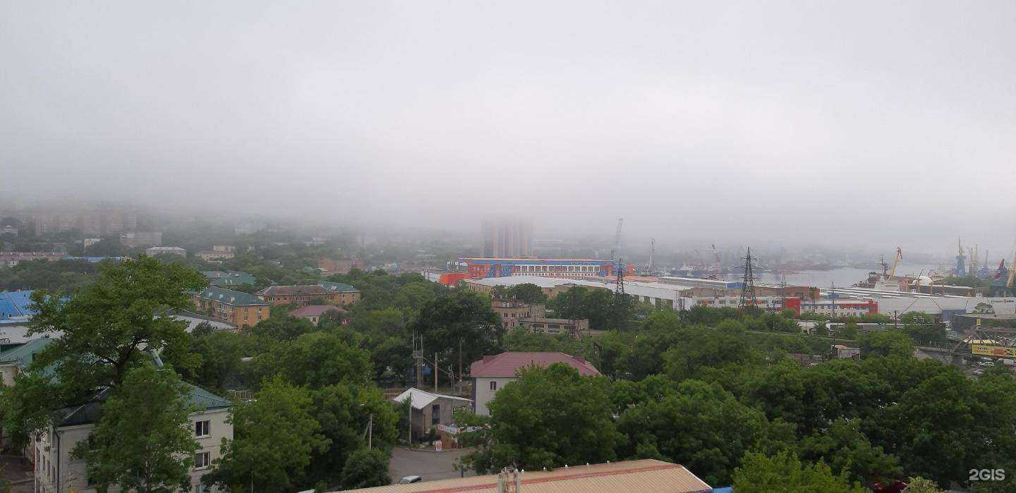 Отзывы на компанию Экспресс Имплантация в Владивостоке c фото - фотография 2 из 2