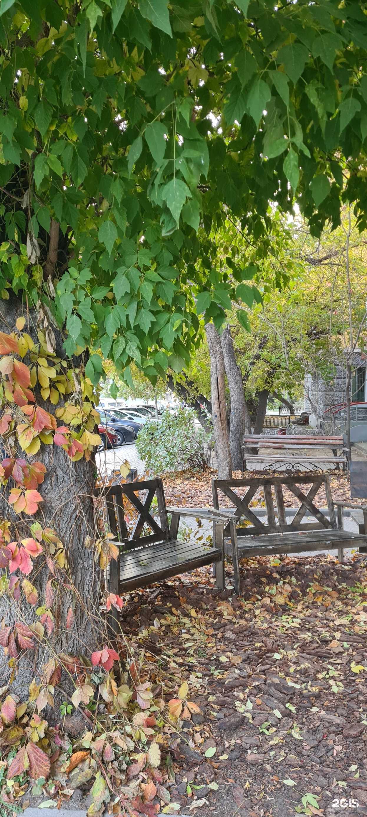 Отзывы на компанию My Garden  в Новосибирске c фото - фотография 2 из 2