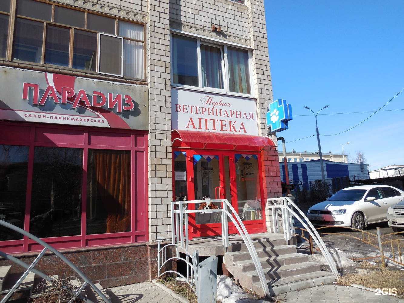 Отзывы на компанию Первая ветеринарная аптека в Ижевске c фото