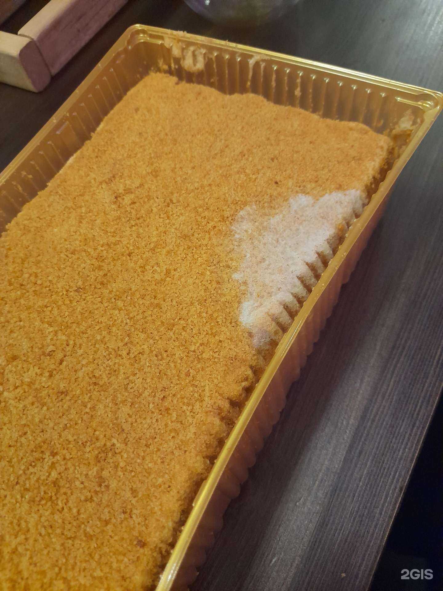 Отзывы на компанию Самокат в Челябинске c фото