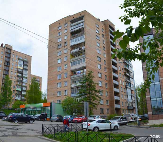 Отзывы на компанию Цветы на Ленинградской в Петрозаводске c фото - фотография 2 из 2