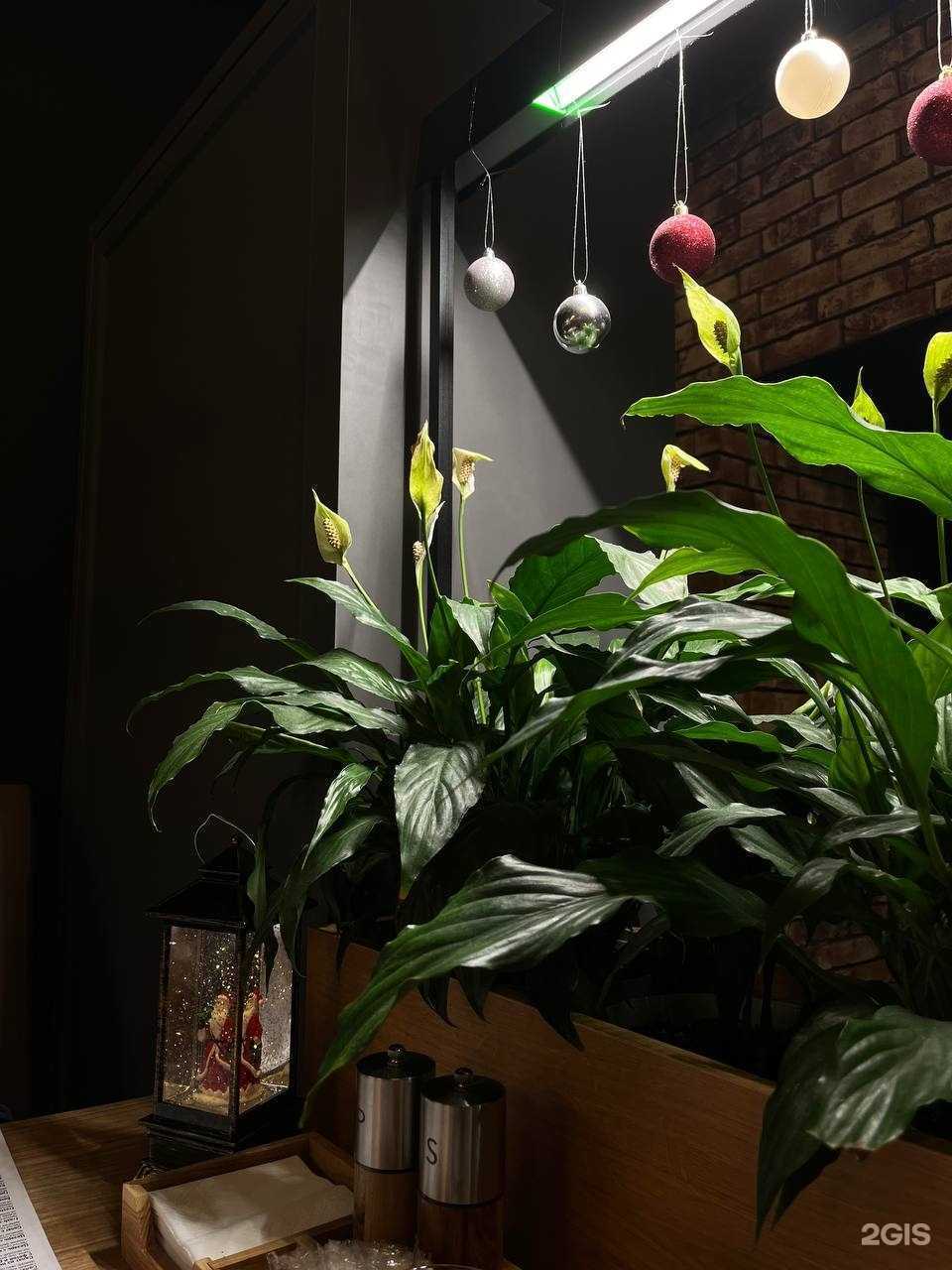 Отзывы на компанию Гриль хаус в Воронеже c фото