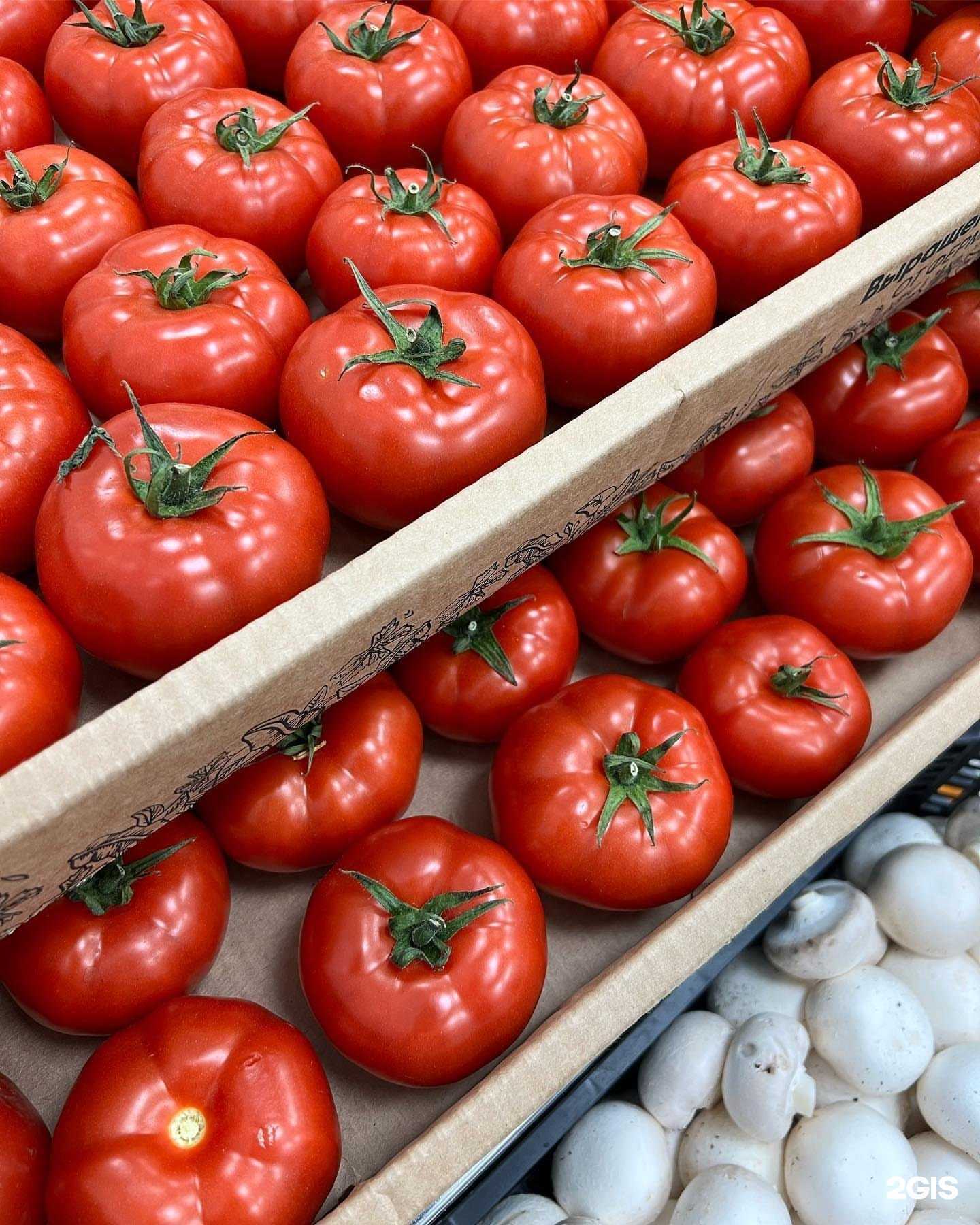 Отзывы на компанию Cuba в Краснодаре c фото