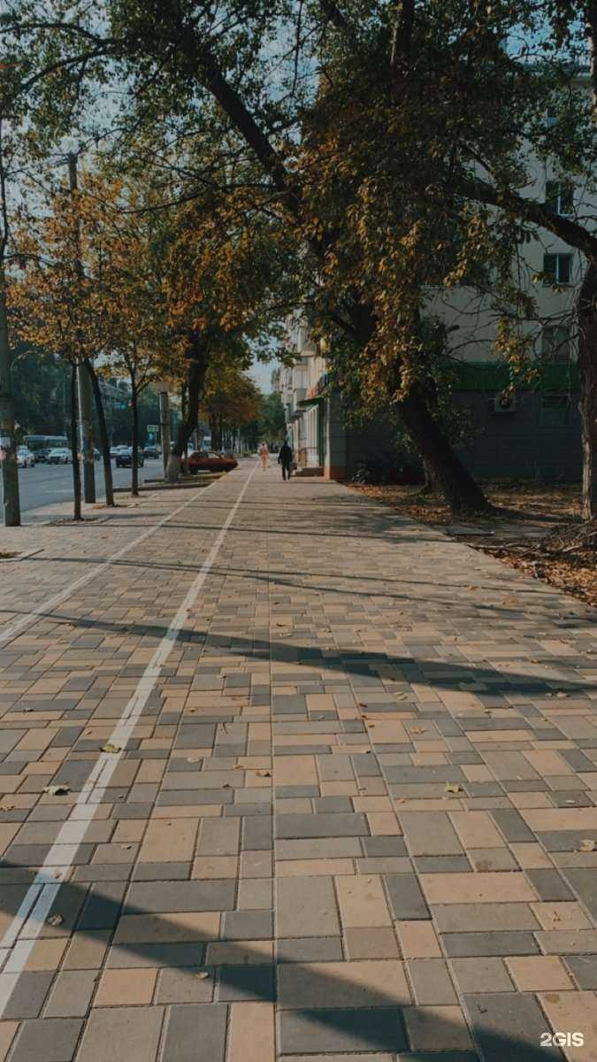 Отзывы на компанию Цветторг в Липецке c фото - фотография 2 из 2