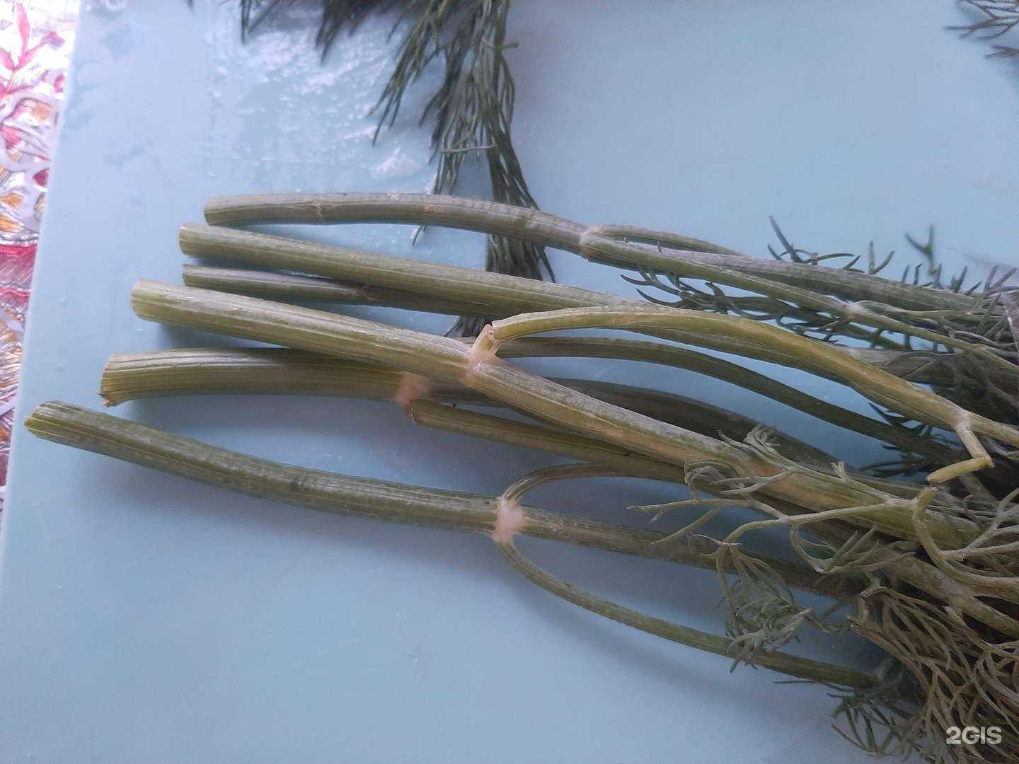 Отзывы на компанию Пункт приема радиодеталей в Иркутске c фото