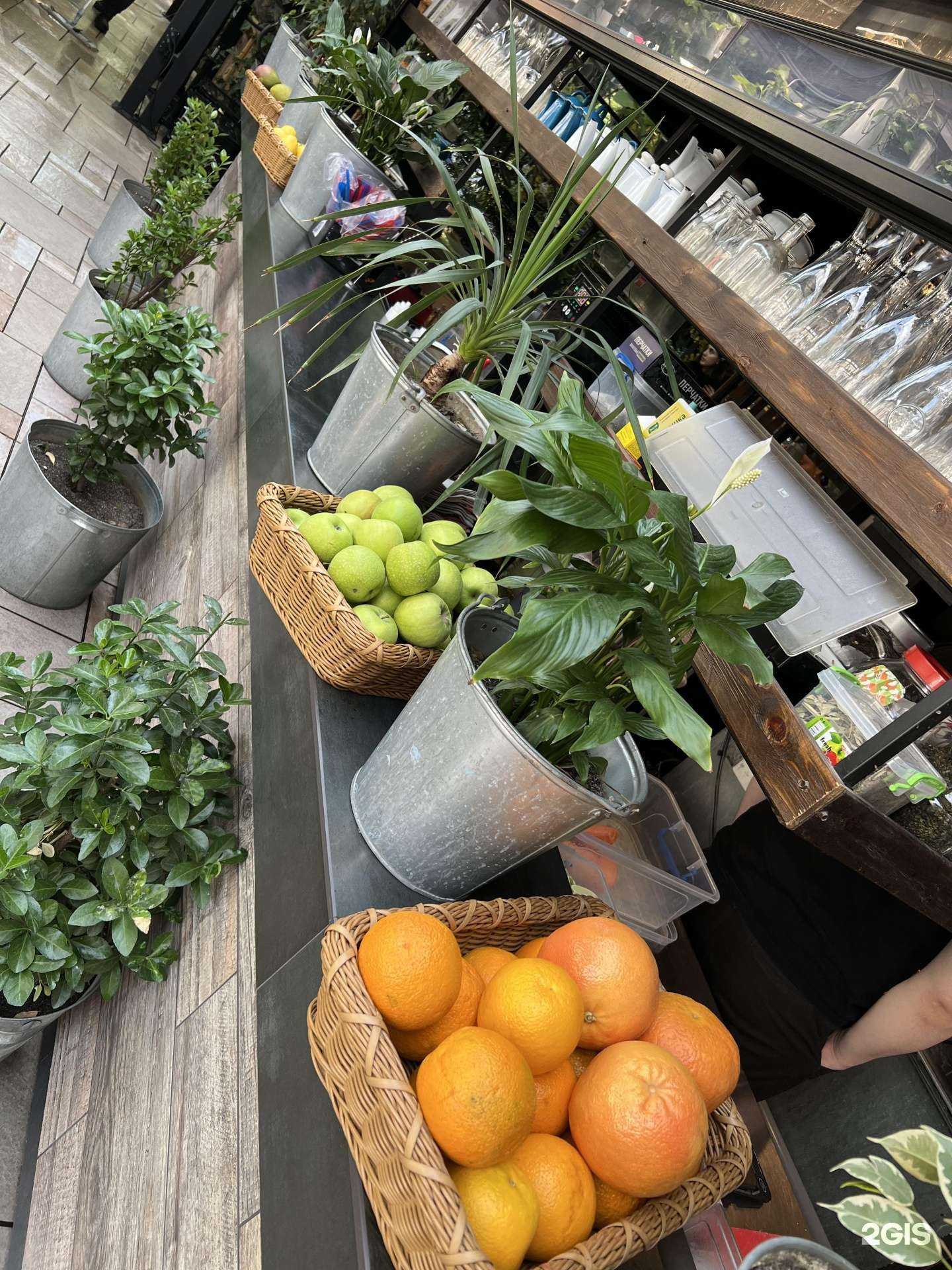 Отзывы на компанию Сад в г. Махачкала c фото