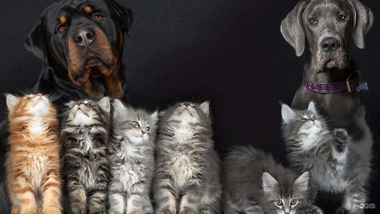 Отзывы на компанию Fosterra в г. Екатеринбург c фото