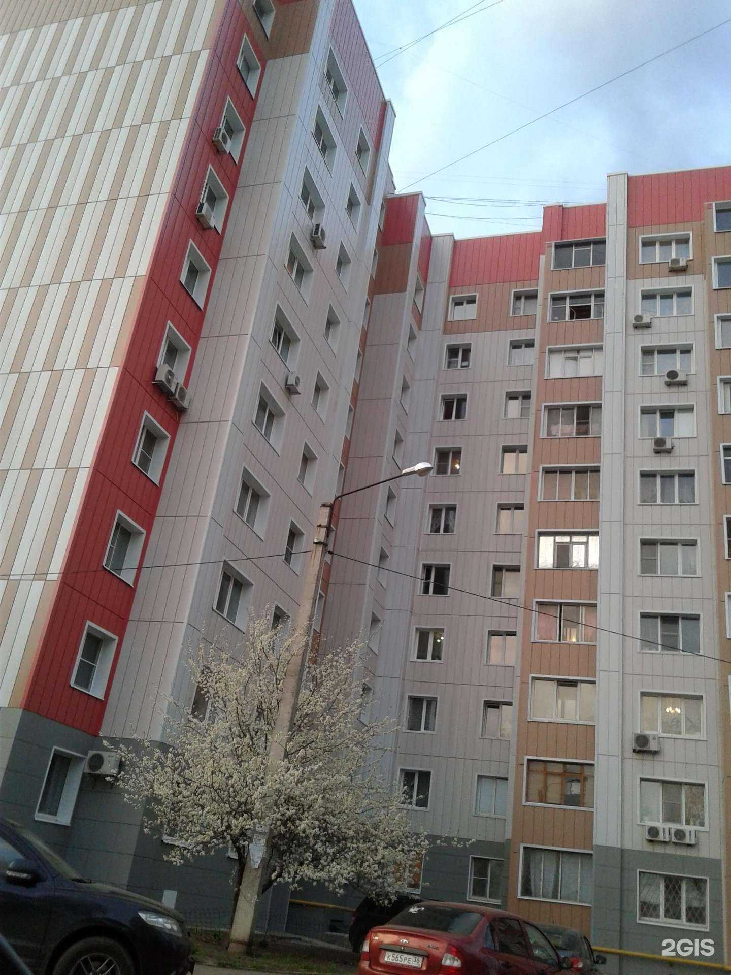 Отзывы на компанию Идеал в Воронеже c фото - фотография 2 из 2