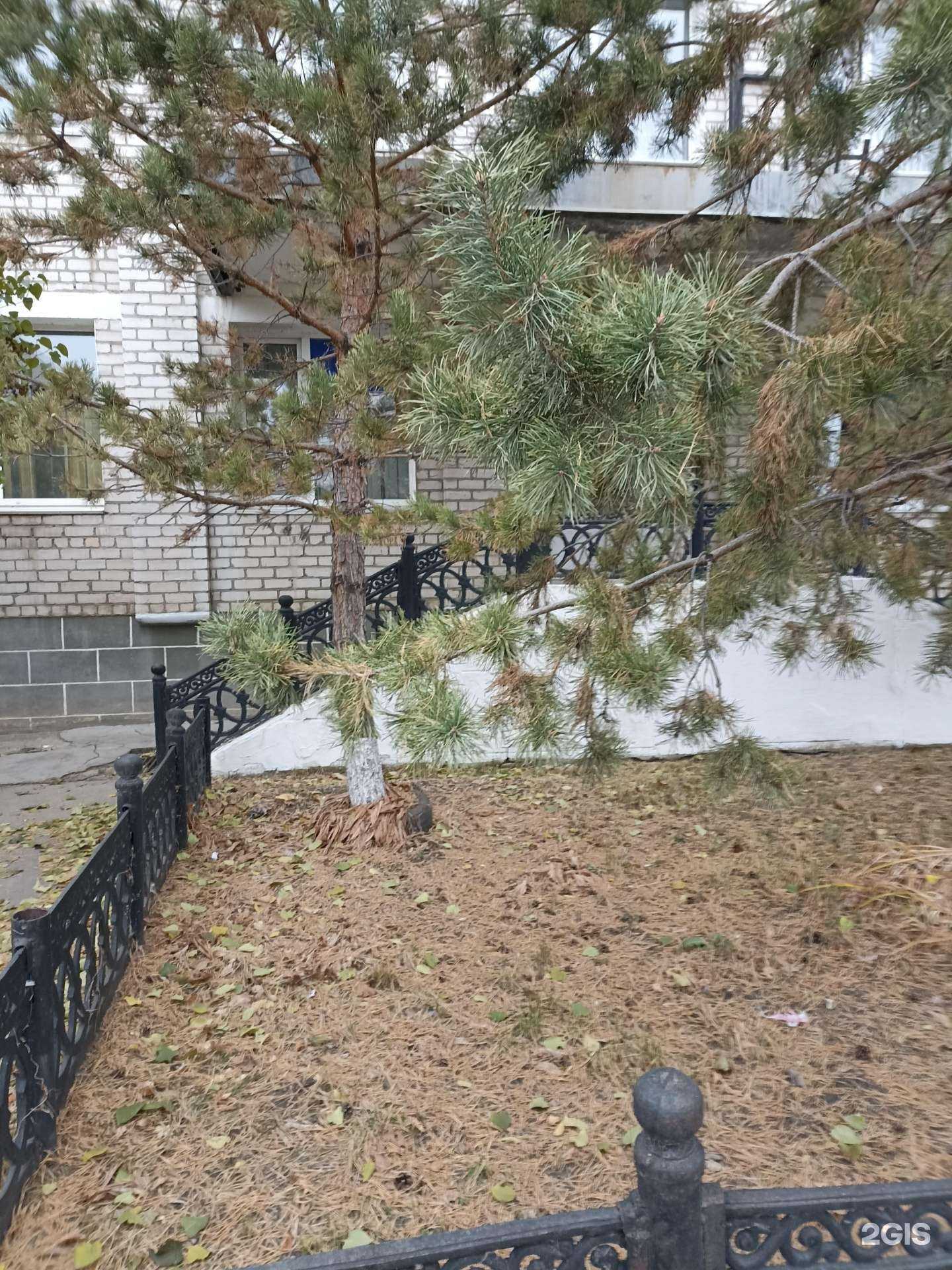 Отзывы на компанию Охрана Федеральной службы войск национальной гвардии РФ в Еманжелинске c фото