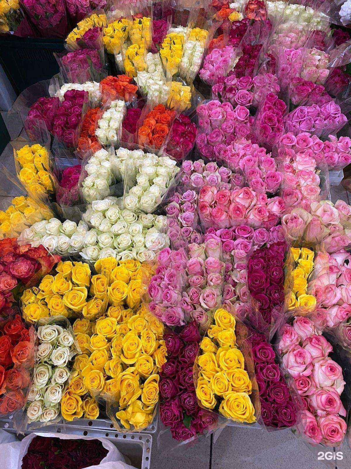 Отзывы на компанию Цветочница48 в г. Липецк c фото