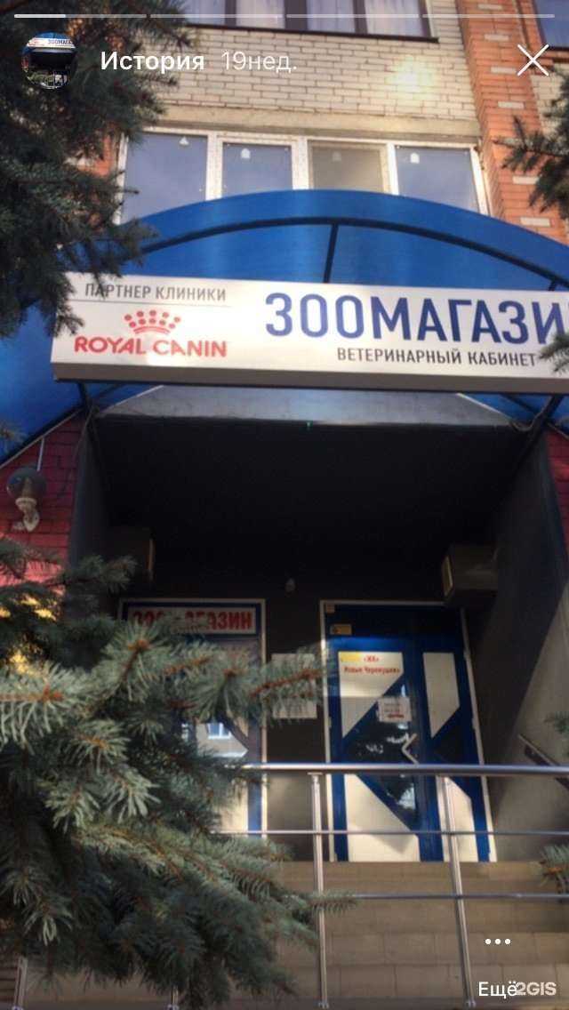 Отзывы на компанию Четыре лапы в г. Майкоп c фото