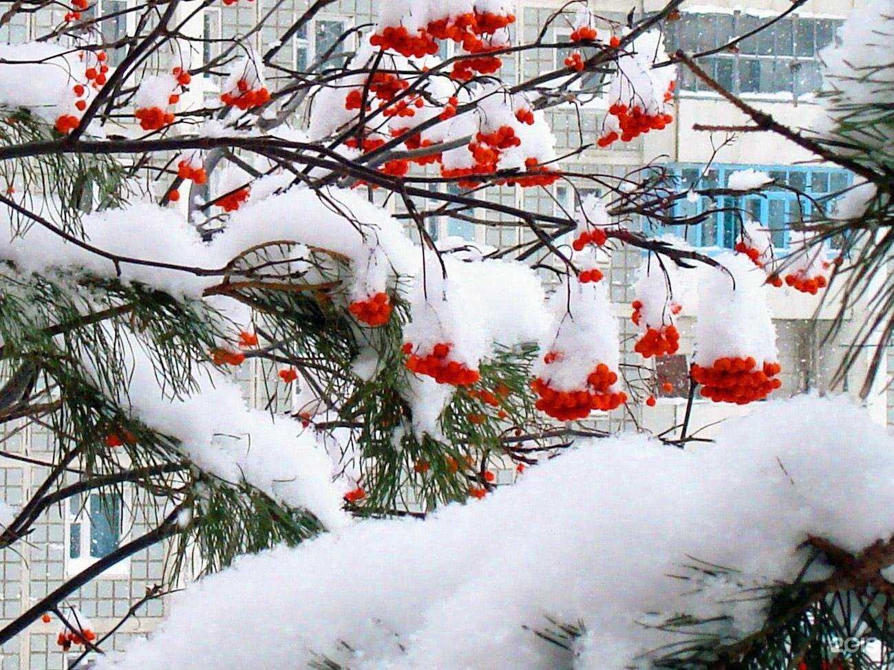 Отзывы на компанию Детский дом №12 в г. Амурск c фото