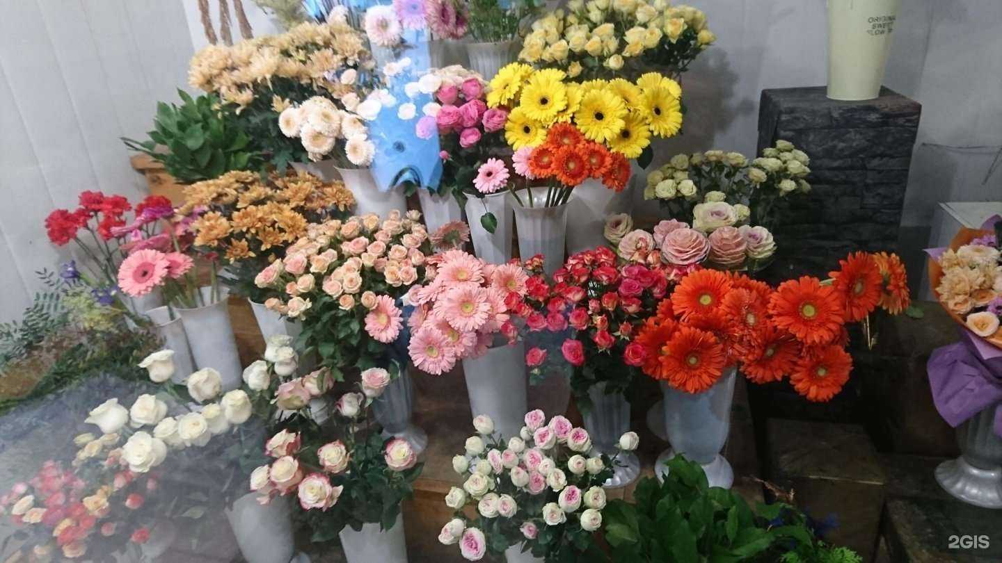 Отзывы на компанию Эвелина в Уфе c фото