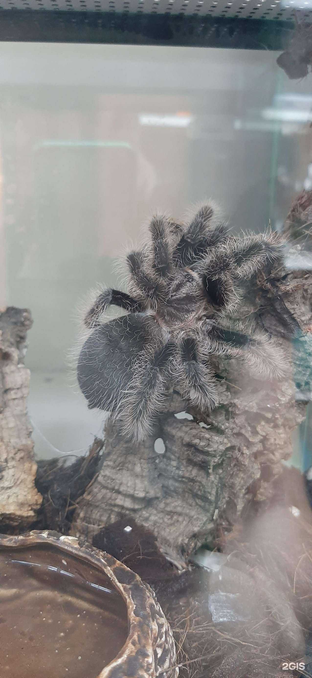 Отзывы на компанию Аквариус в г. Раменское c фото