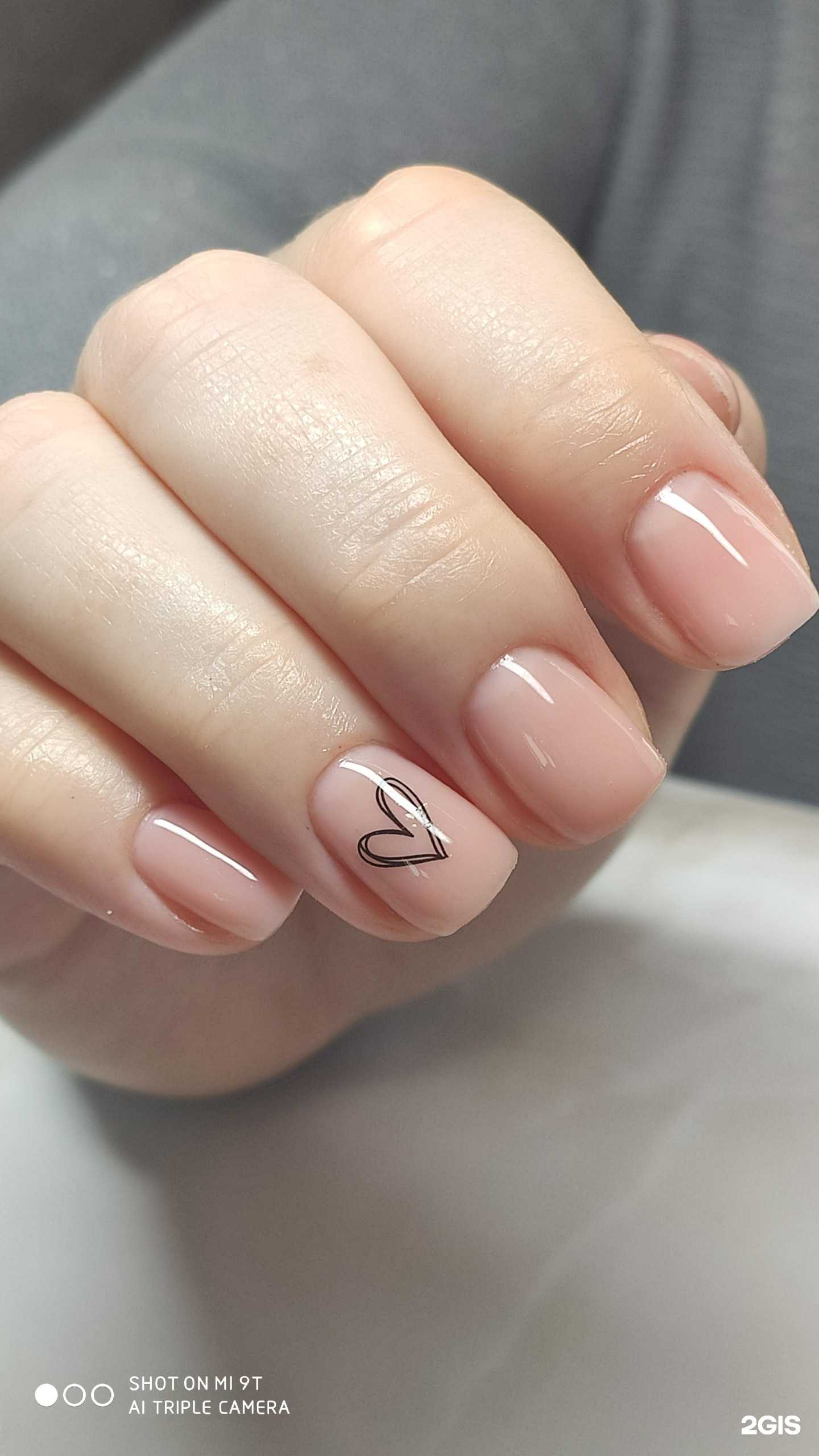 Отзывы на компанию Колибри в Сочи c фото