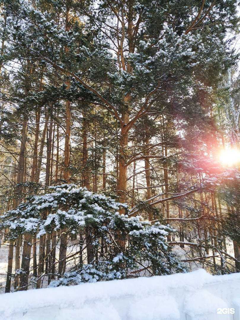 Отзывы на компанию Центр проката тюбингов в Челябинске c фото