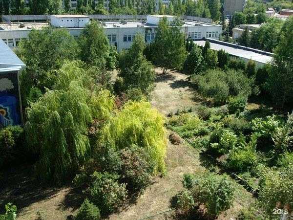 Отзывы на компанию Сокол в Саратове c фото