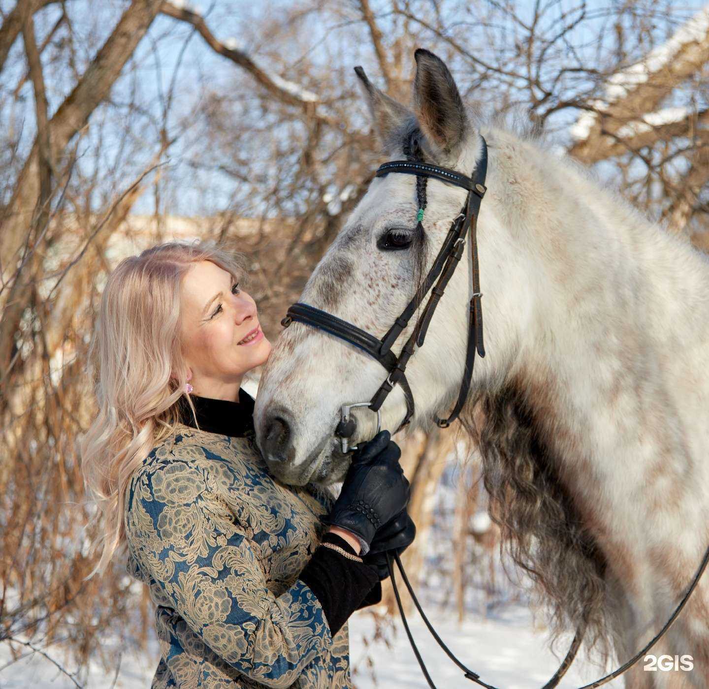 Отзывы на компанию Феррари в г. Хабаровск c фото