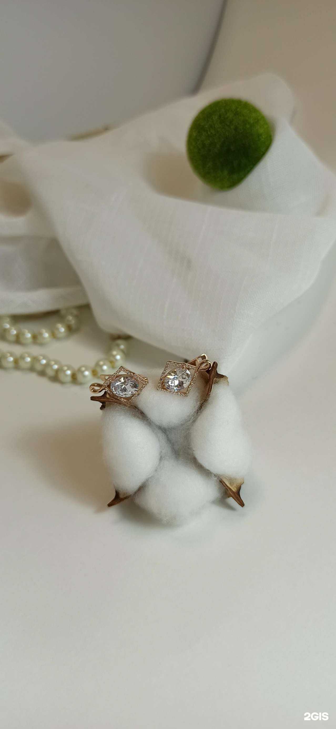 Отзывы на компанию Studio 585 в г. Новосибирск c фото