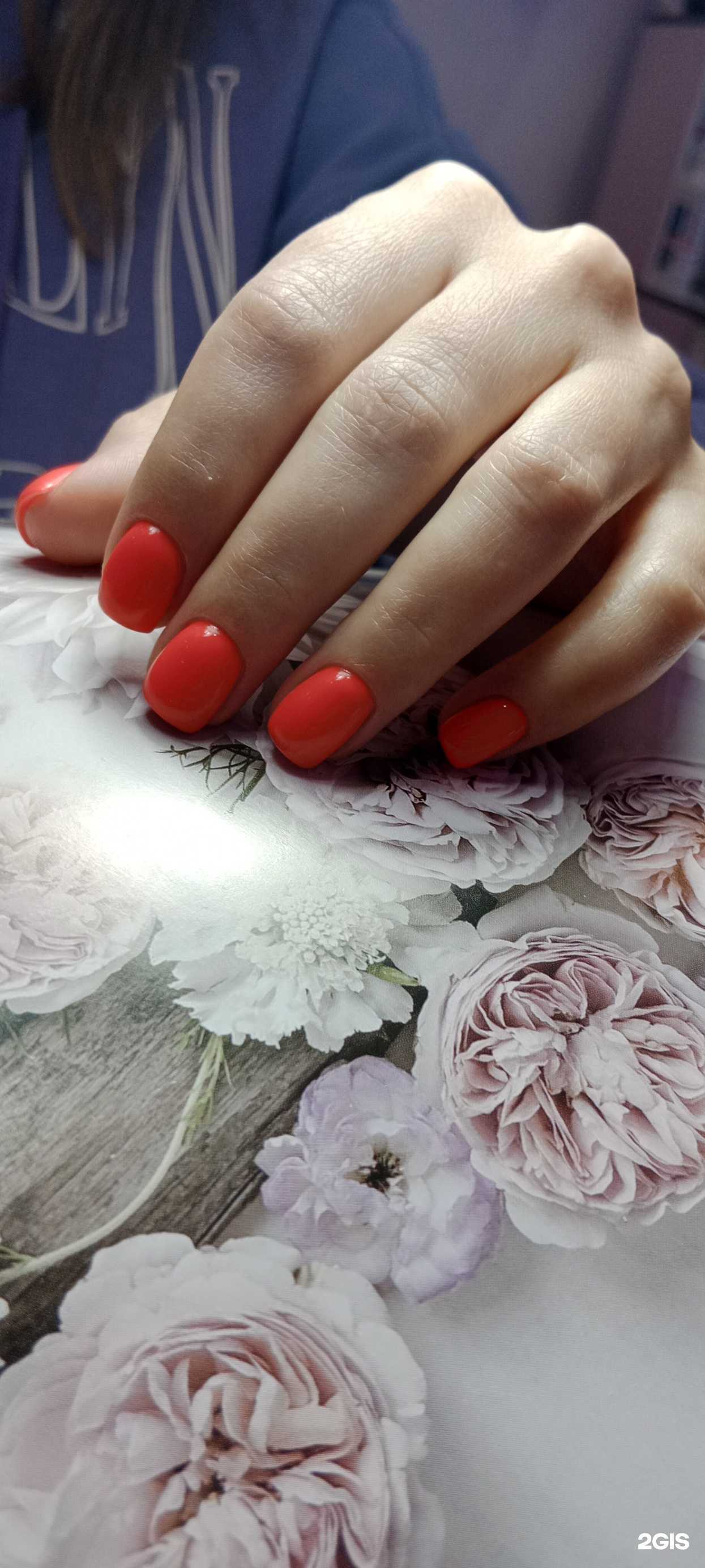 Отзывы на компанию Ногтевая студия в Сочи c фото