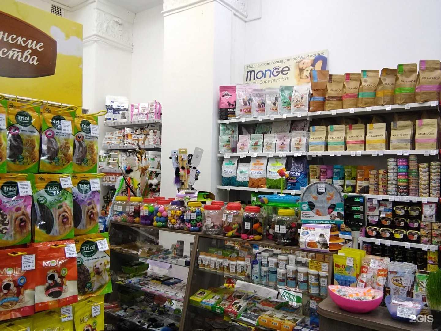 Отзывы на компанию Кот и Пёс в г. Иваново c фото