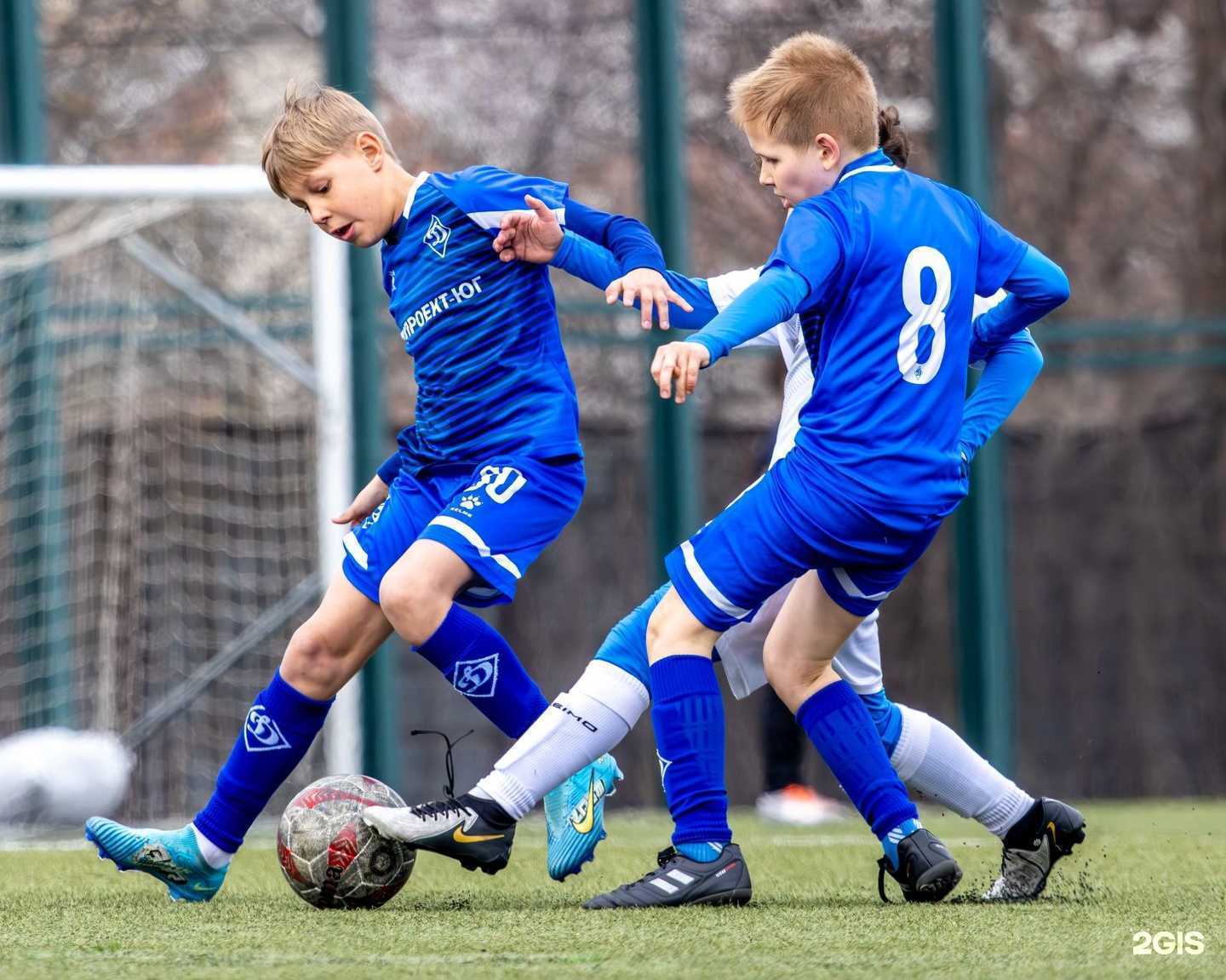 Отзывы на компанию Динамо в Ставрополе c фото