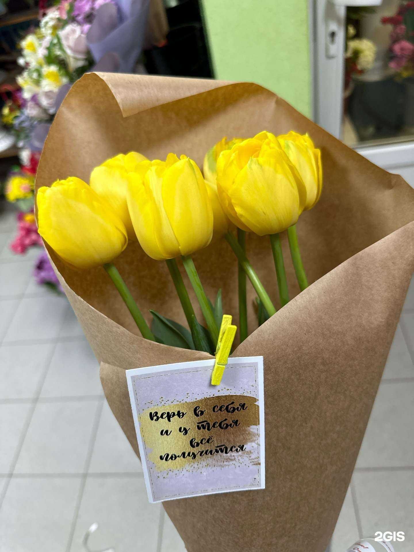 Отзывы на компанию Незабудка в Ставрополе c фото