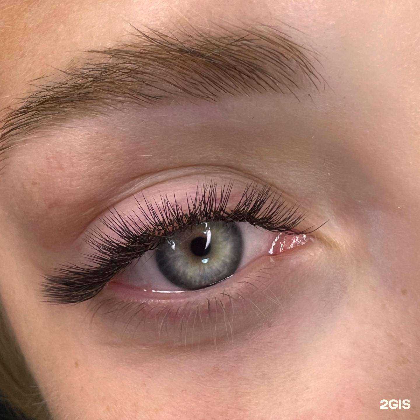 Отзывы на компанию Chic lash в г. Ноябрьск c фото