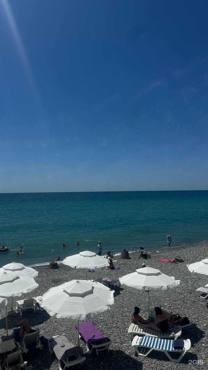 Отзывы на компанию Колибри в г. Сочи c фото