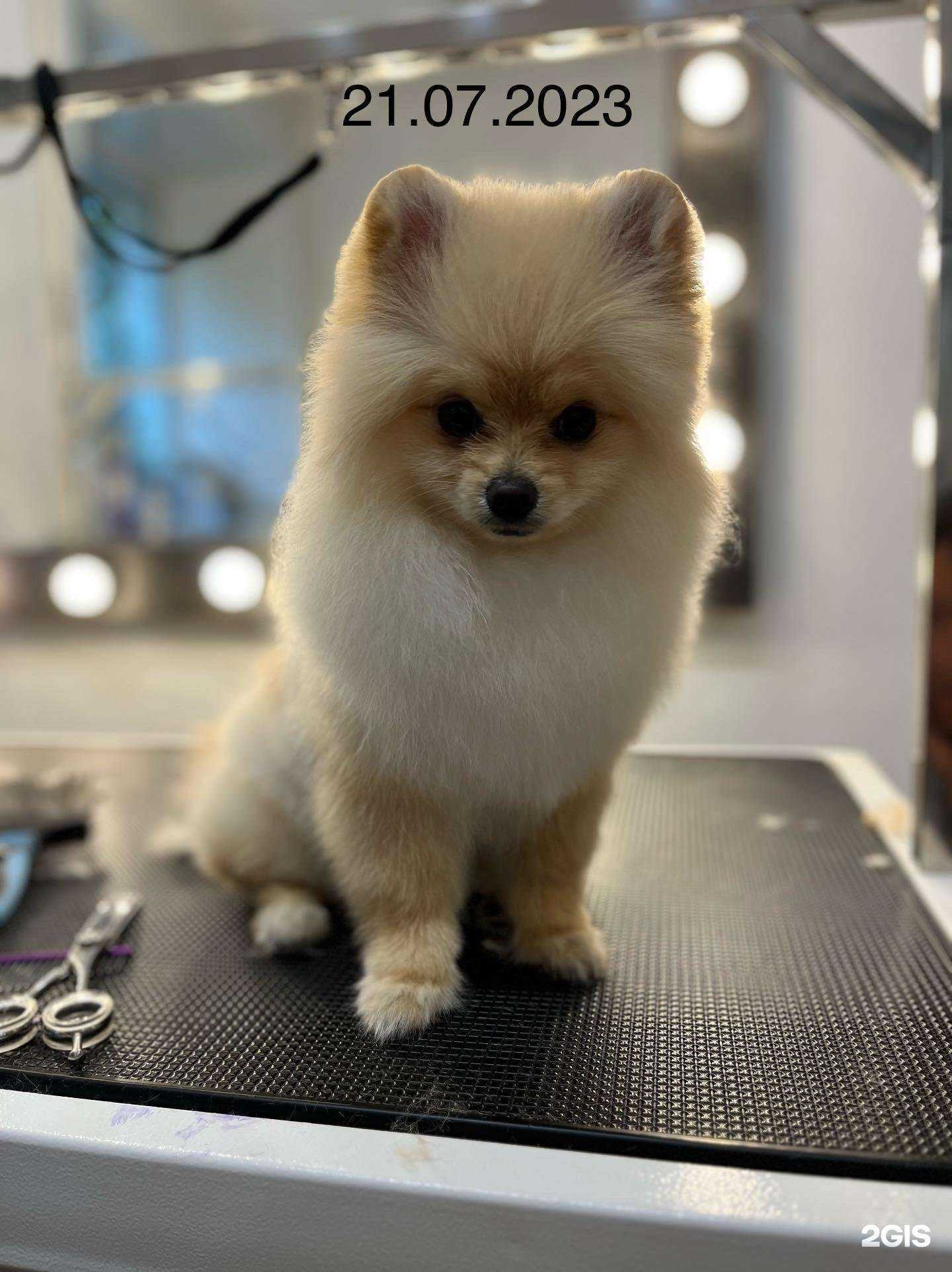 Отзывы на компанию Котофей в г. Богородицк c фото