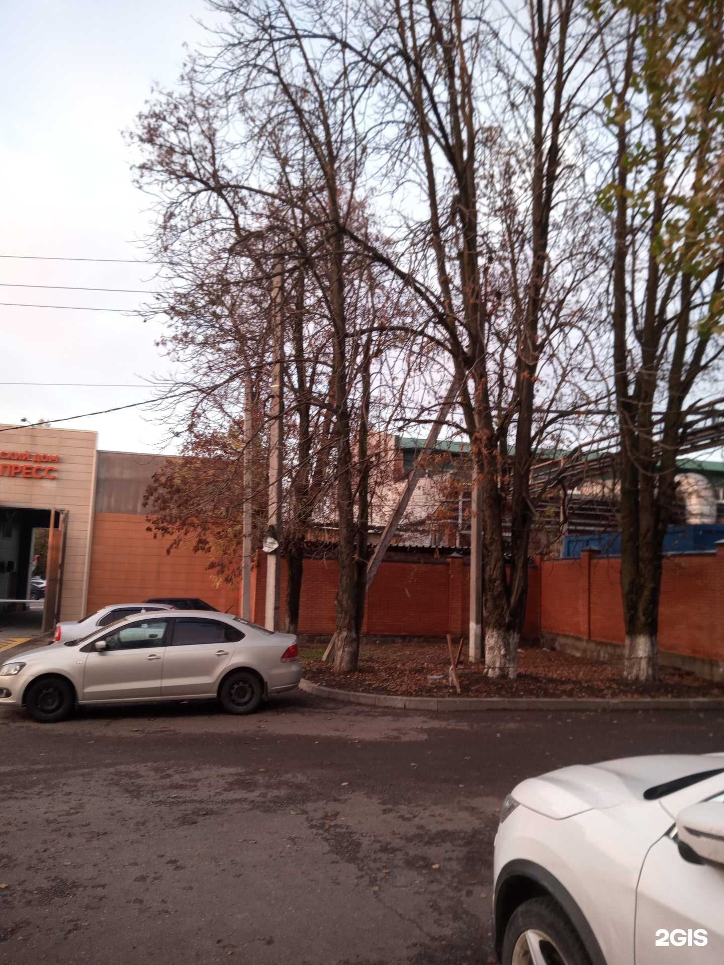 Отзывы на компанию Лесовик в Аксае c фото - фотография 2 из 2