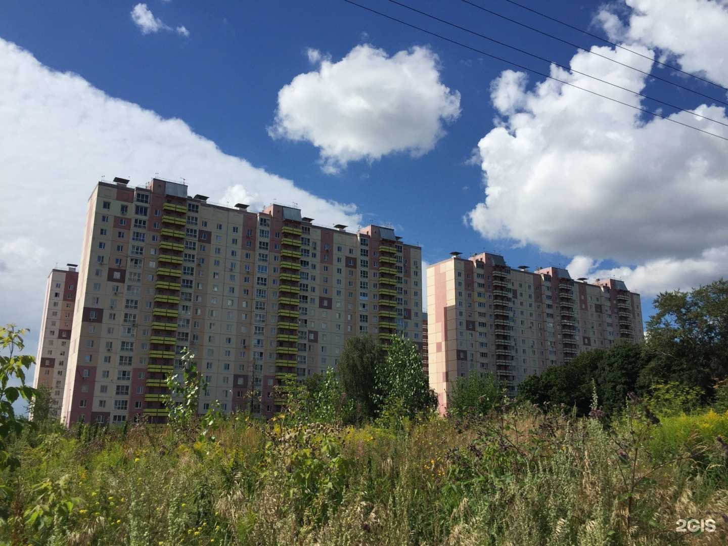 Отзывы на компанию Студия эстетической косметологии в г. Нижний Новгород c фото