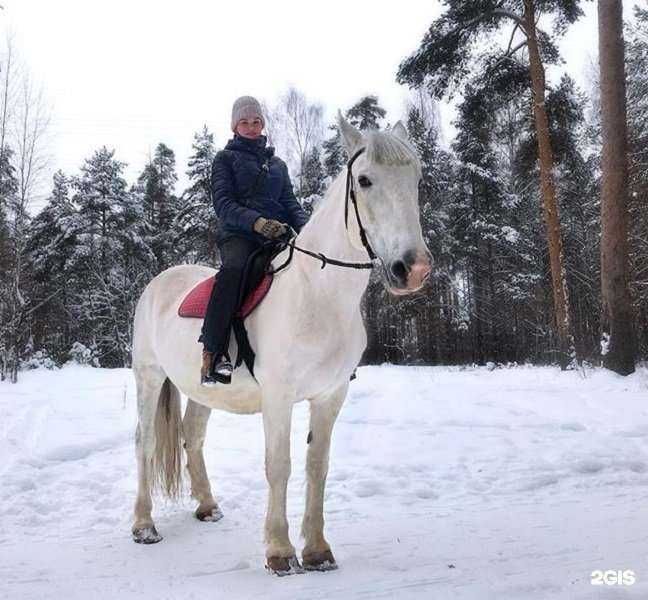 Отзывы на компанию Кабриолет в Ярославле c фото
