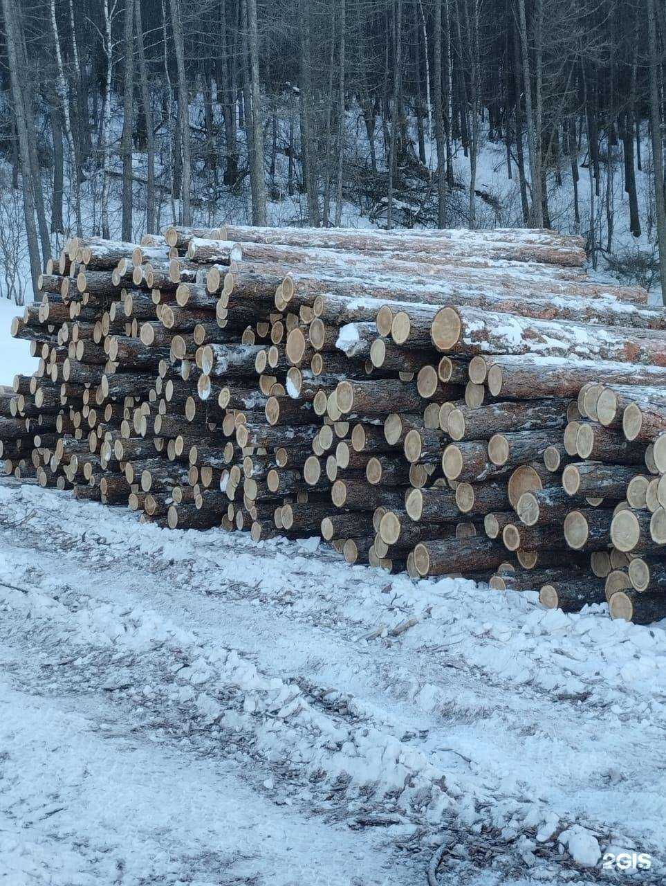 Отзывы на компанию Алтайский лесхоз в Бийске c фото